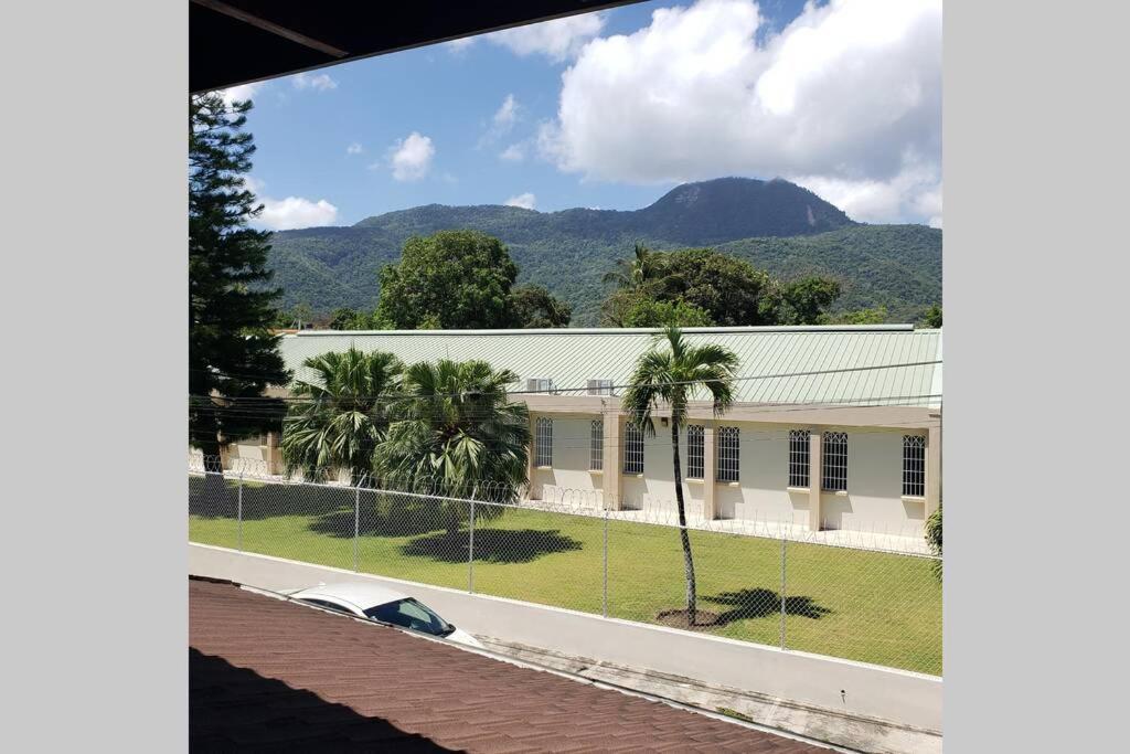 Great Location, Right Downtown Puerto Plata . Lägenhet Exteriör bild